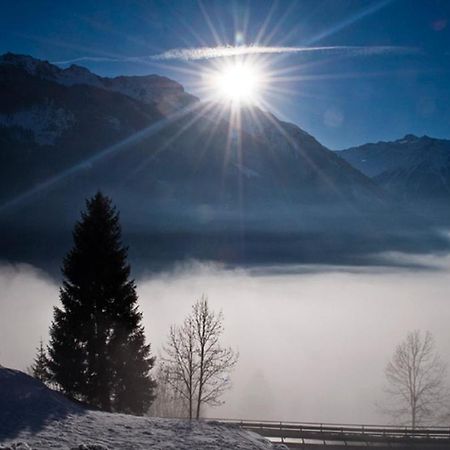 Ferienwohnung Steiner Wald im Pinzgau Luaran gambar