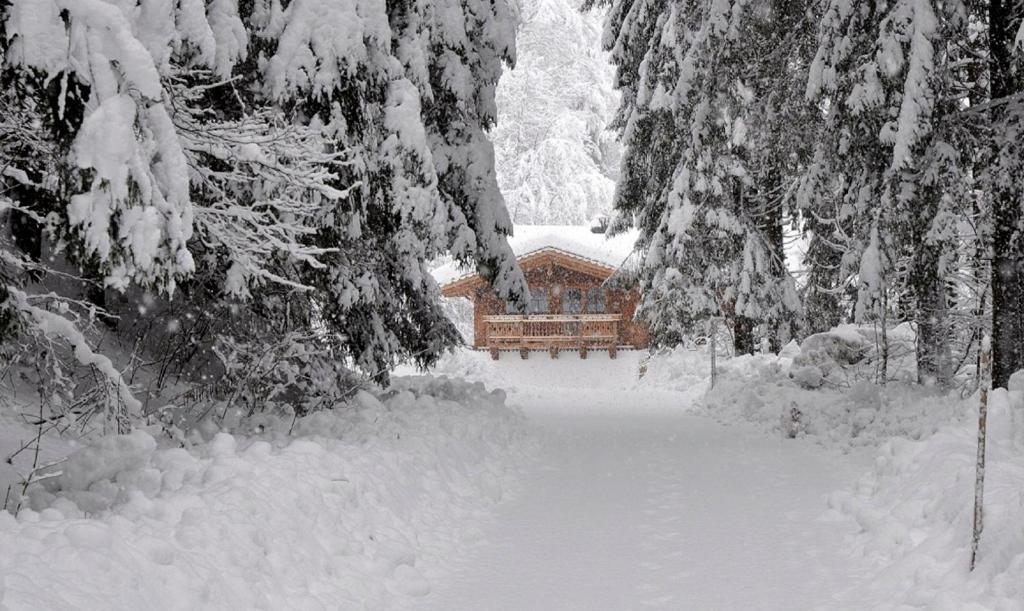 Ferienwohnung Steiner Wald im Pinzgau Luaran gambar