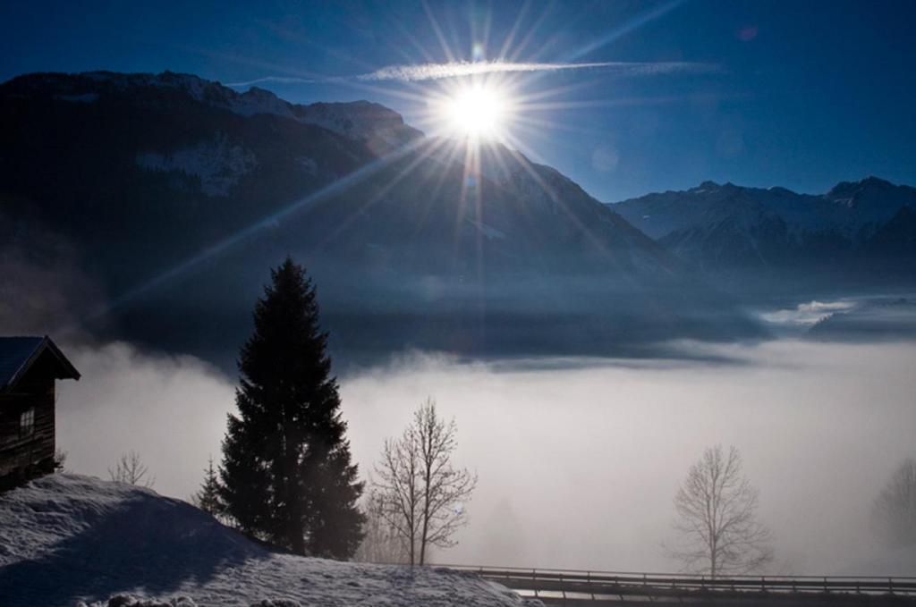 Ferienwohnung Steiner Wald im Pinzgau Luaran gambar
